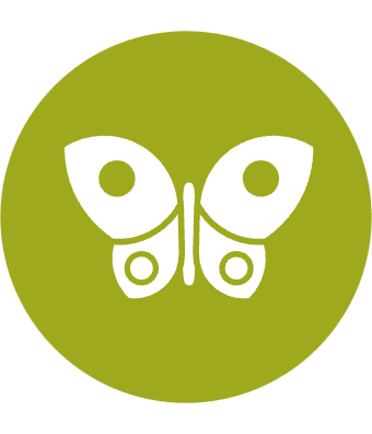 Barrierefreiheit